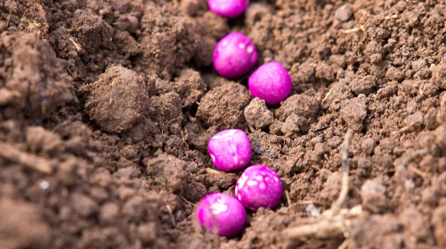 Evonik silica as carrier.